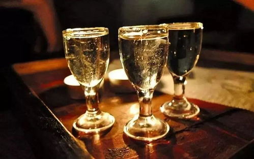 金樽黑酒 與講究者共飲，一場流動的儀式